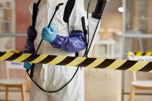 Professional Odor Removal technician working in Bedford, OH